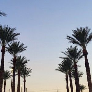 Meet your Posher, Warren